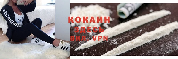 трава Надым