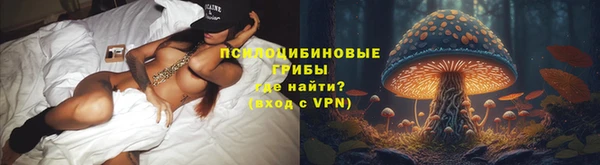 трава Надым