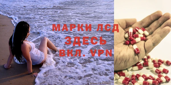 трава Надым