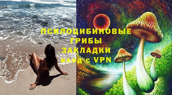 гидропоника Пестово