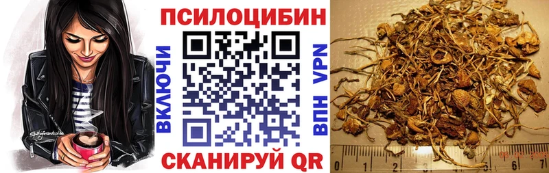 Псилоцибиновые грибы мухоморы  купить наркотик  Правдинск 